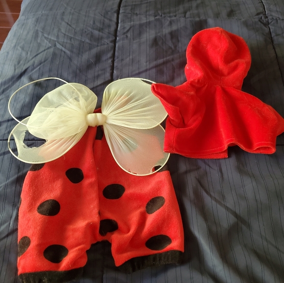 Build a bear Teddy bear - Picture 6 of 16